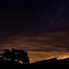 Night Glow